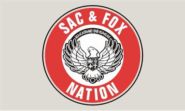 Larger view of Tribal Flag