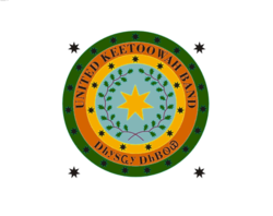 Larger view of Tribal Flag