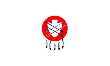 Larger view of Tribal Flag