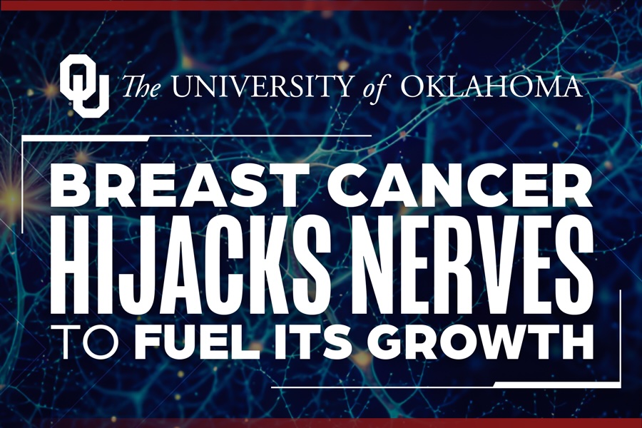 A graphic that reads "breast cancer hijacks nerves to fuel its growth" over a dark blue background covered in nerve-like structures.