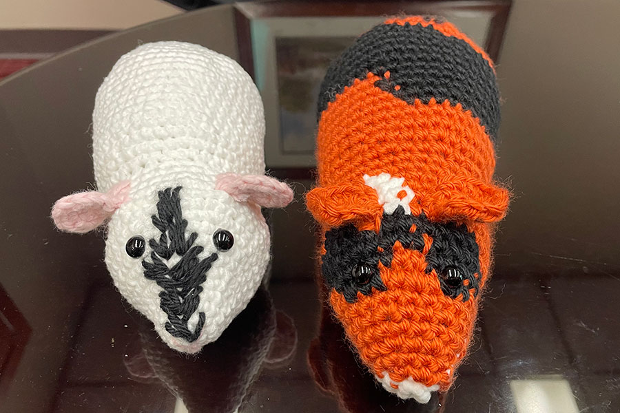 Two crocheted giuena pigs, one black and white; the other black, white and orange. 