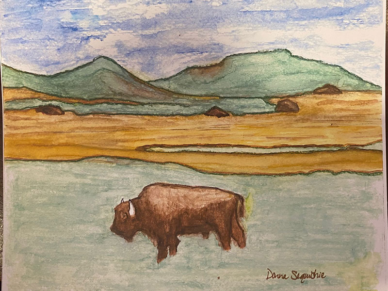 Watercolor painting of a bison framed by mountains and plains.