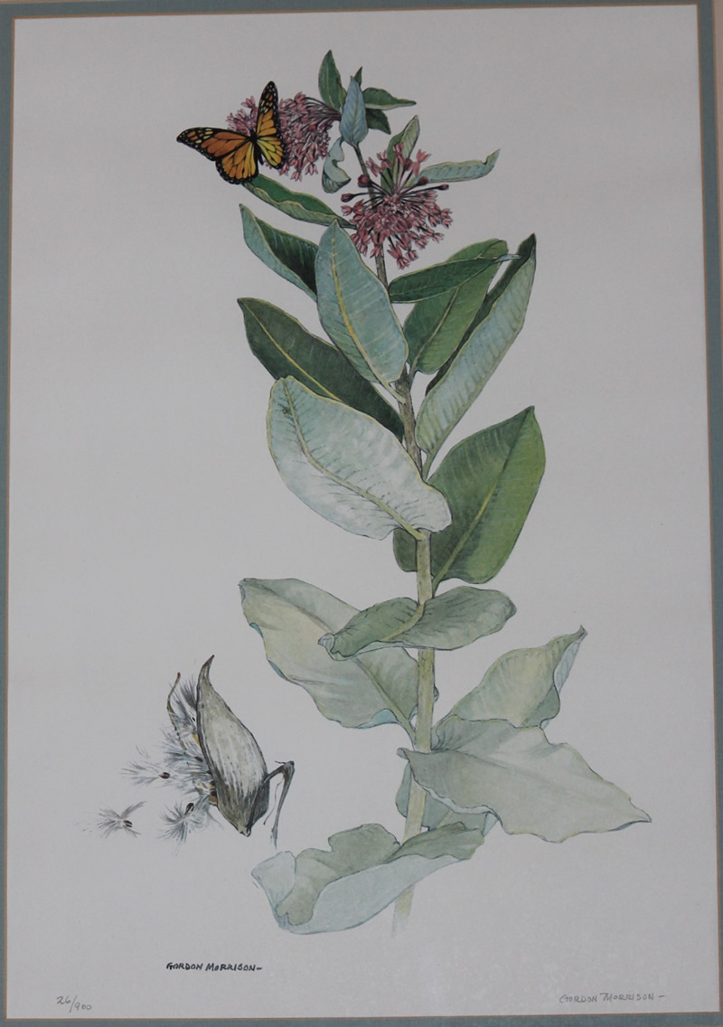 Gordon Morrison.  signed and framed color print  13 X 18"