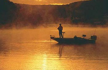 Image of Blue Green Wilderness