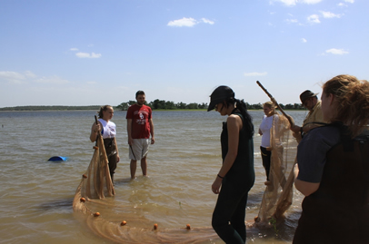 Wildlife Conservation 2011