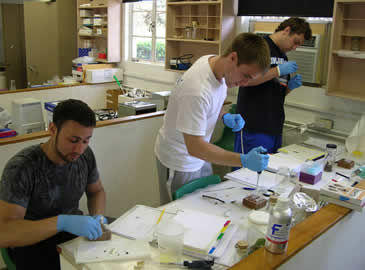 Molecular Techniques 2011