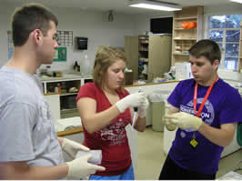 2013 Molecular Techniques students