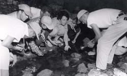 1952 Natural History of Vertebrates class