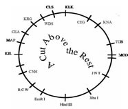 A cut above the rest