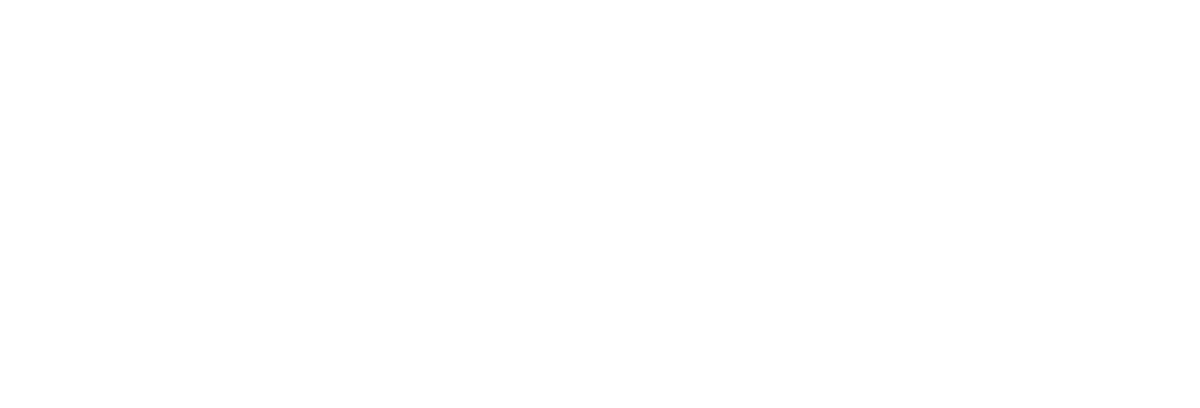 northrop grumman logo