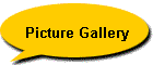 Picture Gallery