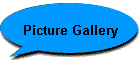 Picture Gallery