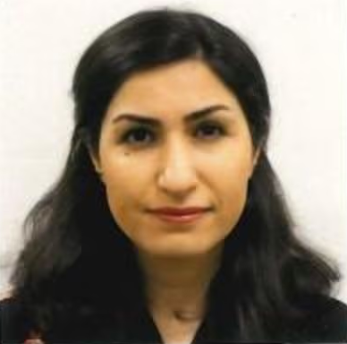 Nafiseh Ghorbani Renani