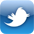 twitter icon