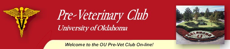 titlebar4top.jpg (34080 bytes)